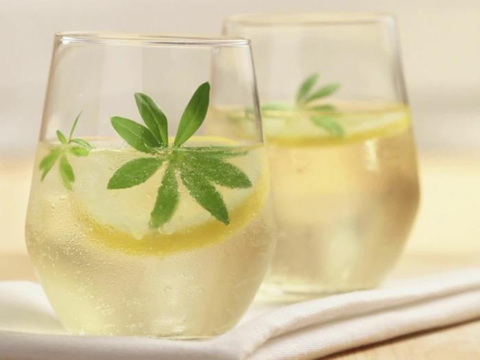 waldmeister recettes vin