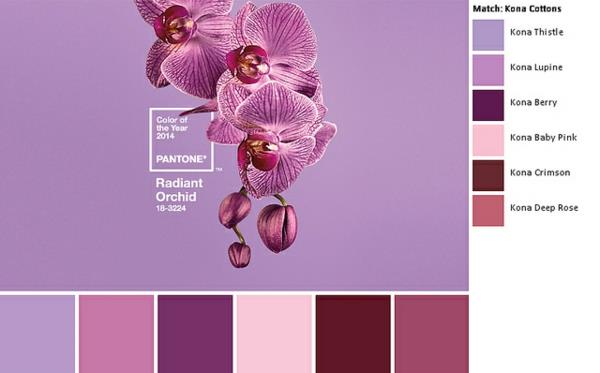 kolor ściany berry trend kolor kolor pantone promienna orchidea fioletowe niuanse kolorystyczne