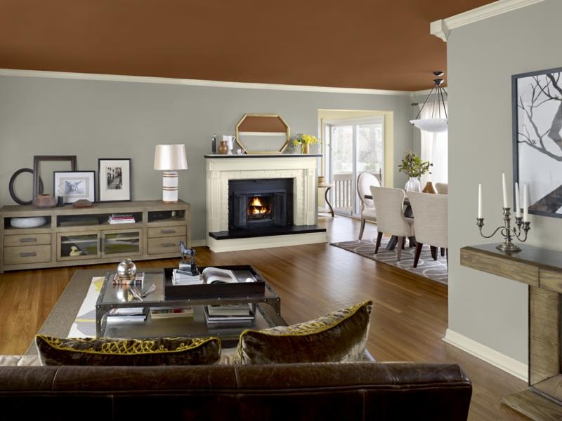 idee couleur mur salon couleur tendance marron couleur plafond
