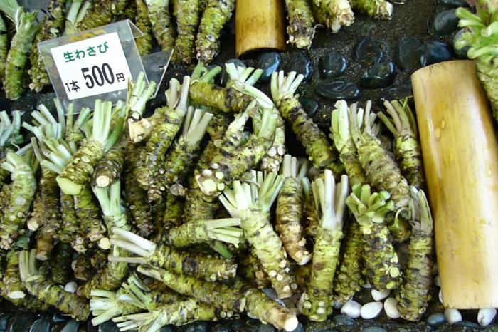 de nombreuses plantes de wasabi sur le marché en asie