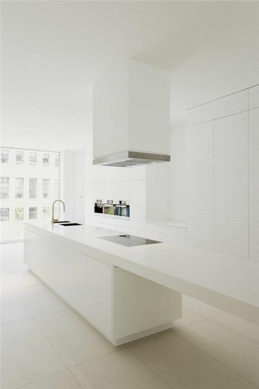 design d'intérieur minimaliste de cuisine blanche avec îlot de cuisine fonctionnel