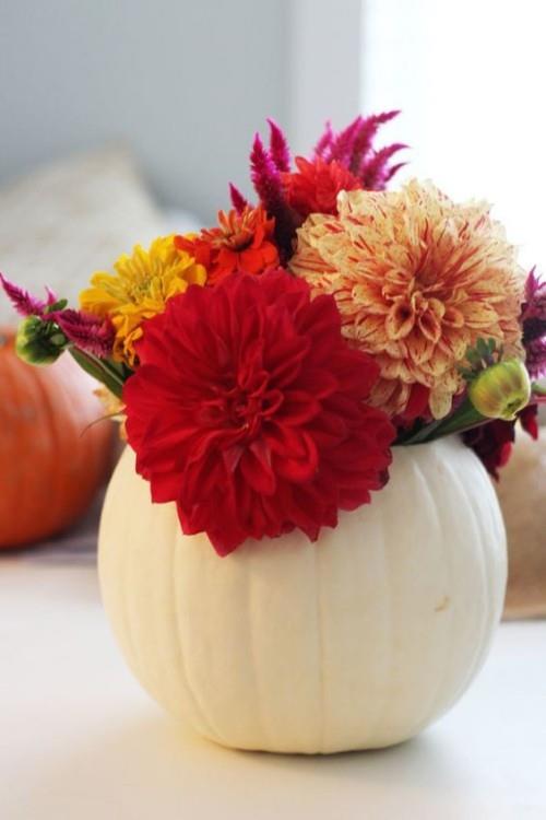pot de fleur de citrouille blanche dahlias rouge orange accrocheur