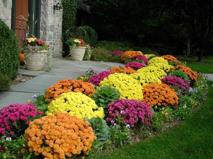 jak zaprojektować moje ogrodowe chryzantemy kolorowe pomysły dekoracyjne jesienią?