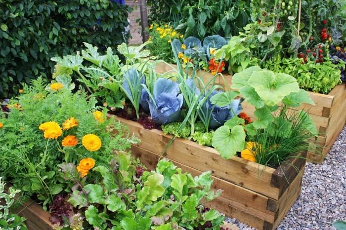 idées vivantes cultivez vos propres légumes du jardin