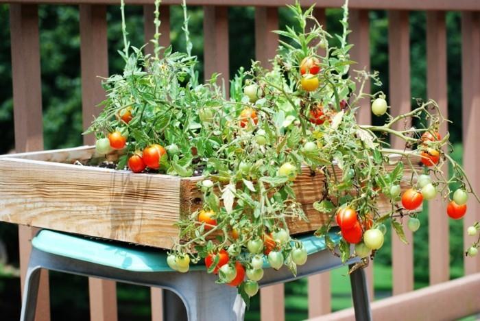 idées de vie jardin balcon design légumes