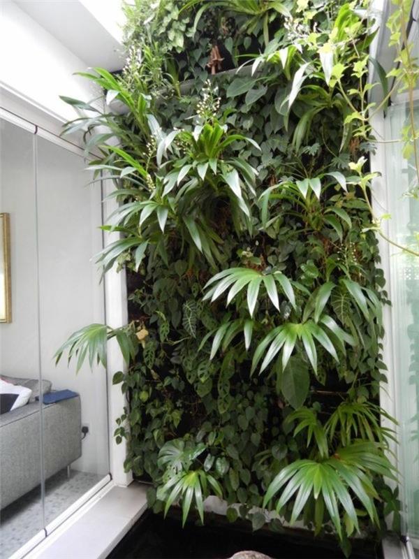 idées vivantes plantes de jardin verticales proches de la nature