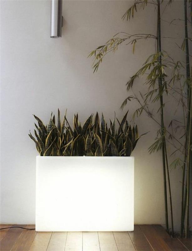 pomysły na dekorację mieszkania pojemnik na rośliny oprawa oświetleniowa