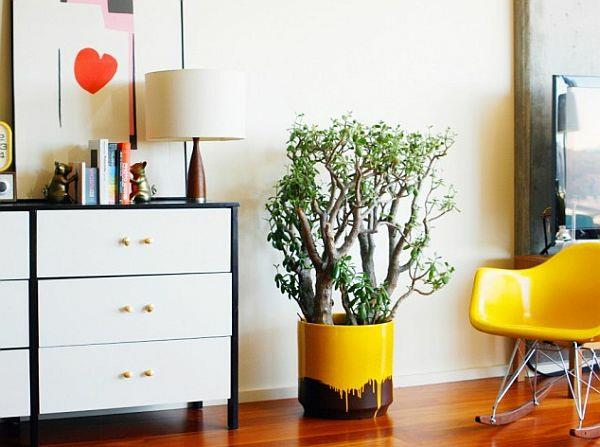 Faites votre propre idée de rénovation d'appartement, peignez, rafraîchissez, nettoyez