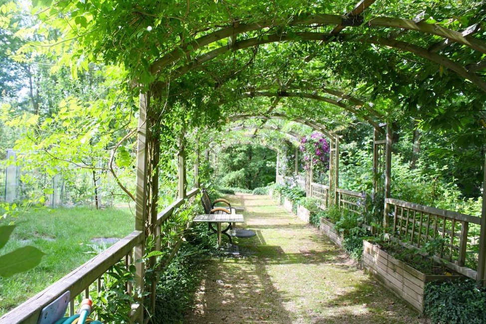 Pergola auf dem Land wird für Kletterpflanzen verwendet