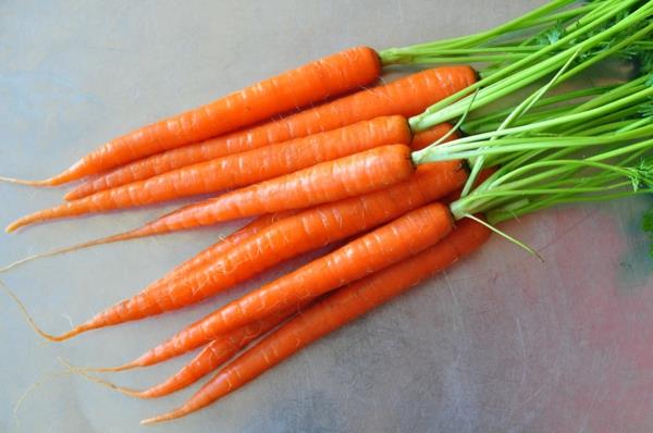 signe du zodiaque Gémeaux nutrition appropriée carottes