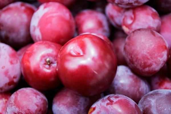 signe du zodiaque Gémeaux correspondant aux prunes nutritionnelles