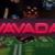 Vavada Casino Review
